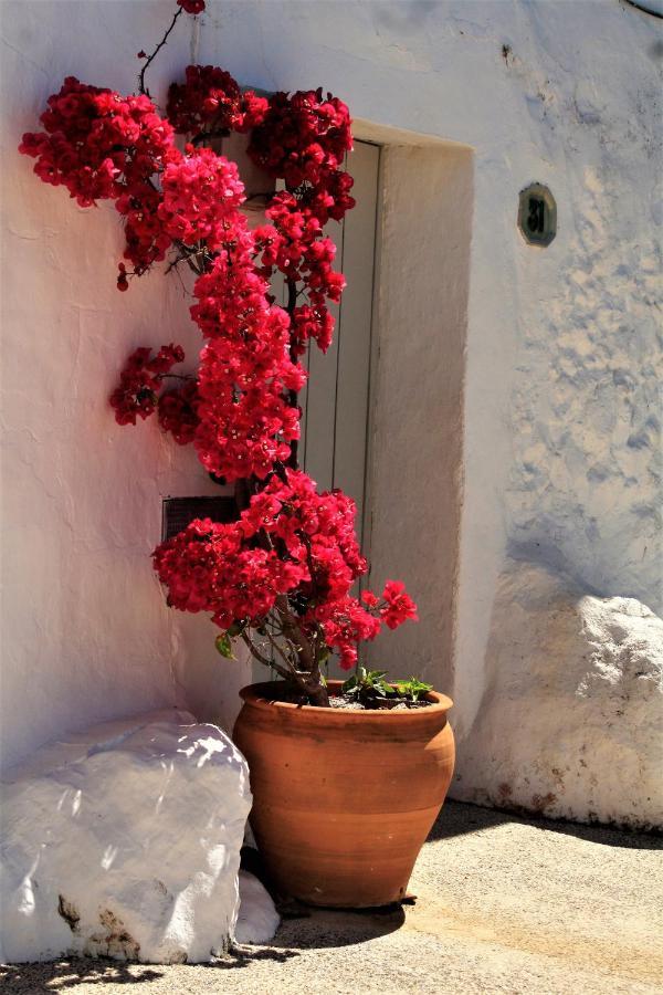 Hostal Moncada Gaucín Exterior foto